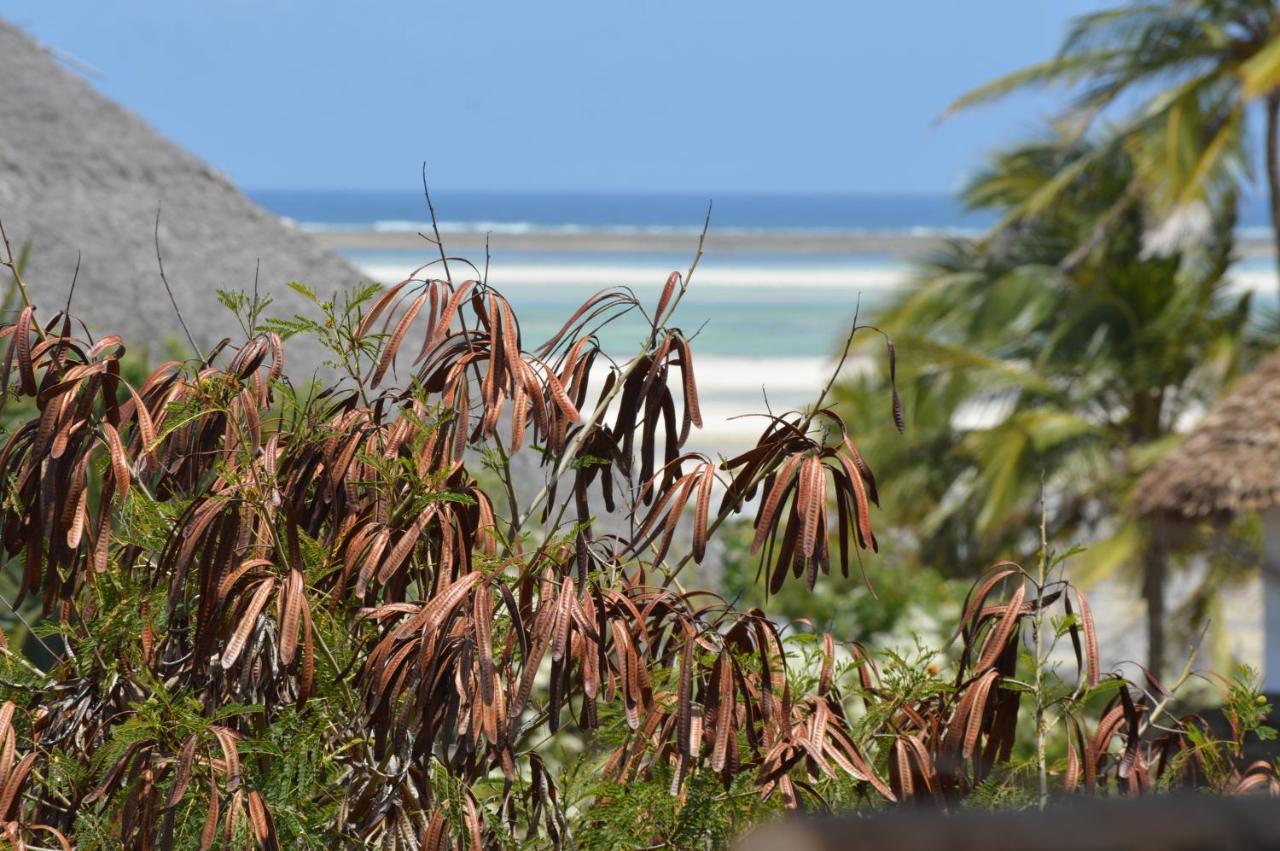 Pole Pole Beach House Watamu Exterior photo
